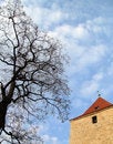 Free Tree, Tower And Cloudscape Stock Photos - 2872023