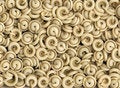 Free Pasta Stock Photos - 2872273
