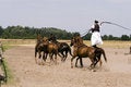 Free Horse Royalty Free Stock Photos - 2872428