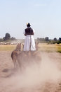 Free Horse Stock Photography - 2872512