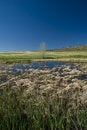 Free Distant Tree With Pond Royalty Free Stock Photo - 2873455