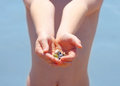 Free Handful Of Shells Stock Photos - 2874093