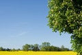 Free Spring In Europe Royalty Free Stock Photo - 2879735
