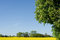 Free Spring In Europe Royalty Free Stock Photo - 2879735