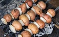 Free Potato With Fat On Coal Stock Image - 2881141
