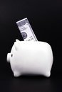 Free Piggy Bank Stock Photos - 2881253