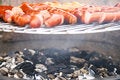 Free Barbecue Time... Stock Photos - 2893773