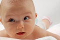 Free Baby After Bath 11 Royalty Free Stock Photos - 2903568