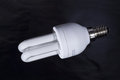 Free Energy Saving Light Bulb Royalty Free Stock Photos - 2904498