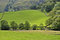 Free Sunlit Summer Field Stock Photography - 2902792