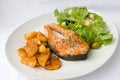Free Grilled Salmon With Lettuce Stock Photos - 2918283