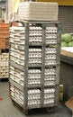 Free Free Rang Of Eggs Royalty Free Stock Images - 2918799