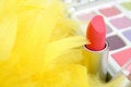 Free Feathers And  Lipstick Royalty Free Stock Image - 2923586
