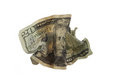 Free Crumpled Twenty Dollars Bill Stock Photography - 2924392
