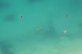 Free Swimming In The Ocean Royalty Free Stock Photos - 2929858