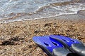 Free Flippers Stock Photo - 2930580