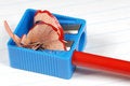 Free Pencil Being Sharpened Stock Images - 2932074