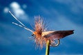 Free Artificial Fly Sedge Type Royalty Free Stock Image - 2932816