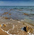 Free Surf Royalty Free Stock Images - 2932879