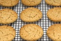 Free Rows Of Cookies Stock Image - 2933611