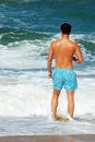 Free Ocean Fun Royalty Free Stock Photos - 2935448