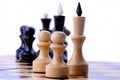 Free Chess-men Stock Photos - 2939053