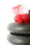 Free Dumbbell And Feather On White Stock Image - 2931371