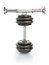 Free Iron Dumbbells On White Stock Photography - 2931382