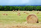 Free Hay Bales Stock Photography - 2933902