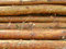 Free Timber Royalty Free Stock Photos - 2939478