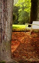 Free Silent Place Stock Image - 2944811