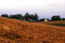Free Early Morning On The Farm. Stock Image - 2943661