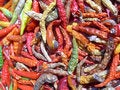Free Colourful Chilli Stock Image - 2952111