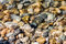 Free Background Of Baikal Bottom Stock Image - 2953301