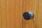 Free Key. Stock Photo - 29587780