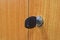 Free Key. Stock Image - 29587791