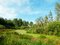 Free On A Bog In The Fall Royalty Free Stock Image - 29698206