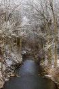 Free Snowy River Stock Photos - 2978493