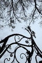 Free Creepywood Stock Image - 2978821