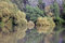 Free Lake In Summer Royalty Free Stock Photo - 2974975