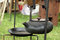 Free Antique Cast-iron Kettle Royalty Free Stock Image - 2975766