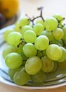 Free Green Grapes Royalty Free Stock Photography - 2982527