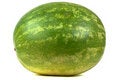 Free Natural Garden Watermelon Stock Photography - 2985862