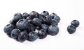 Free Fresh Blueberry Royalty Free Stock Images - 2988059
