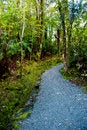 Free Hiking Path Stock Image - 29829081