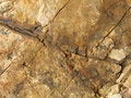 Free Crack Of Dendrite Rock Royalty Free Stock Image - 2993176