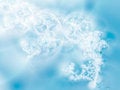 Free Ice-flowers Royalty Free Stock Photos - 2999618