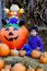 Free Haloween Time Stock Photo - 2997300