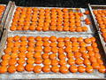 Free Dried Egg Yolks - Food Royalty Free Stock Images - 36579