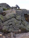 Free Layers Royalty Free Stock Photography - 39657